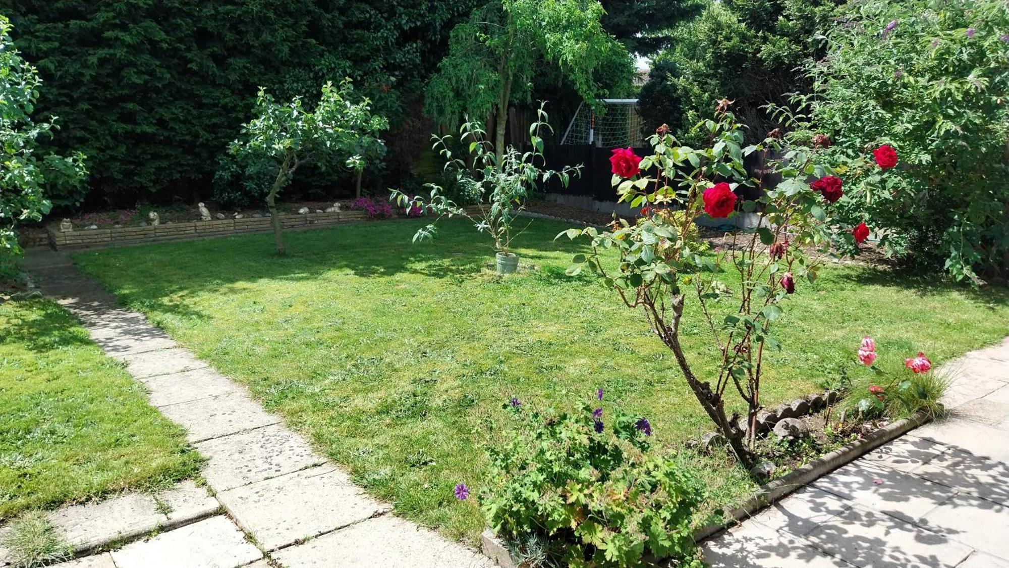 Beautiful 3-Bed Bungalow Kessingland Rural Retreat Lowestoft Exterior photo